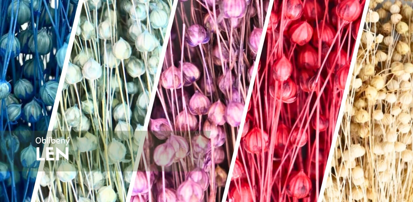 Sušený len – jemná krása a přírodní elegance